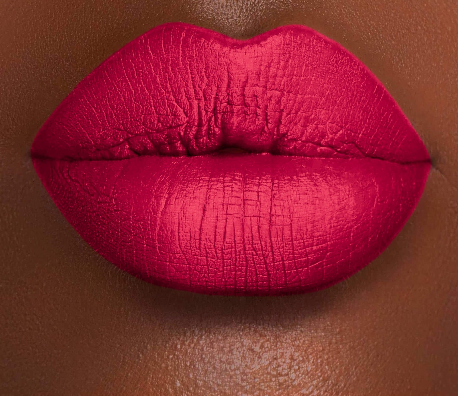 DOMINATRIX :  HOLLY WAND | VELVET LIQUID LIPCHROMA