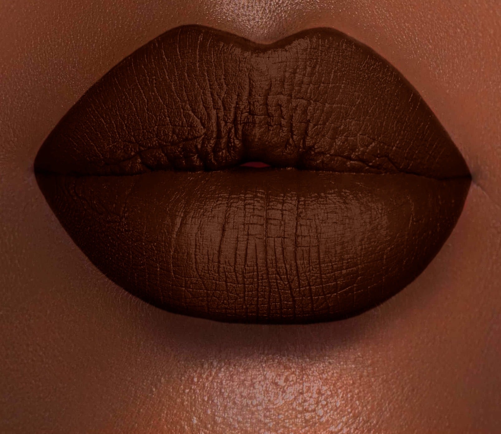 MILKWEED  : HOLLY WAND | VELVET LIQUID LIPCHROMA