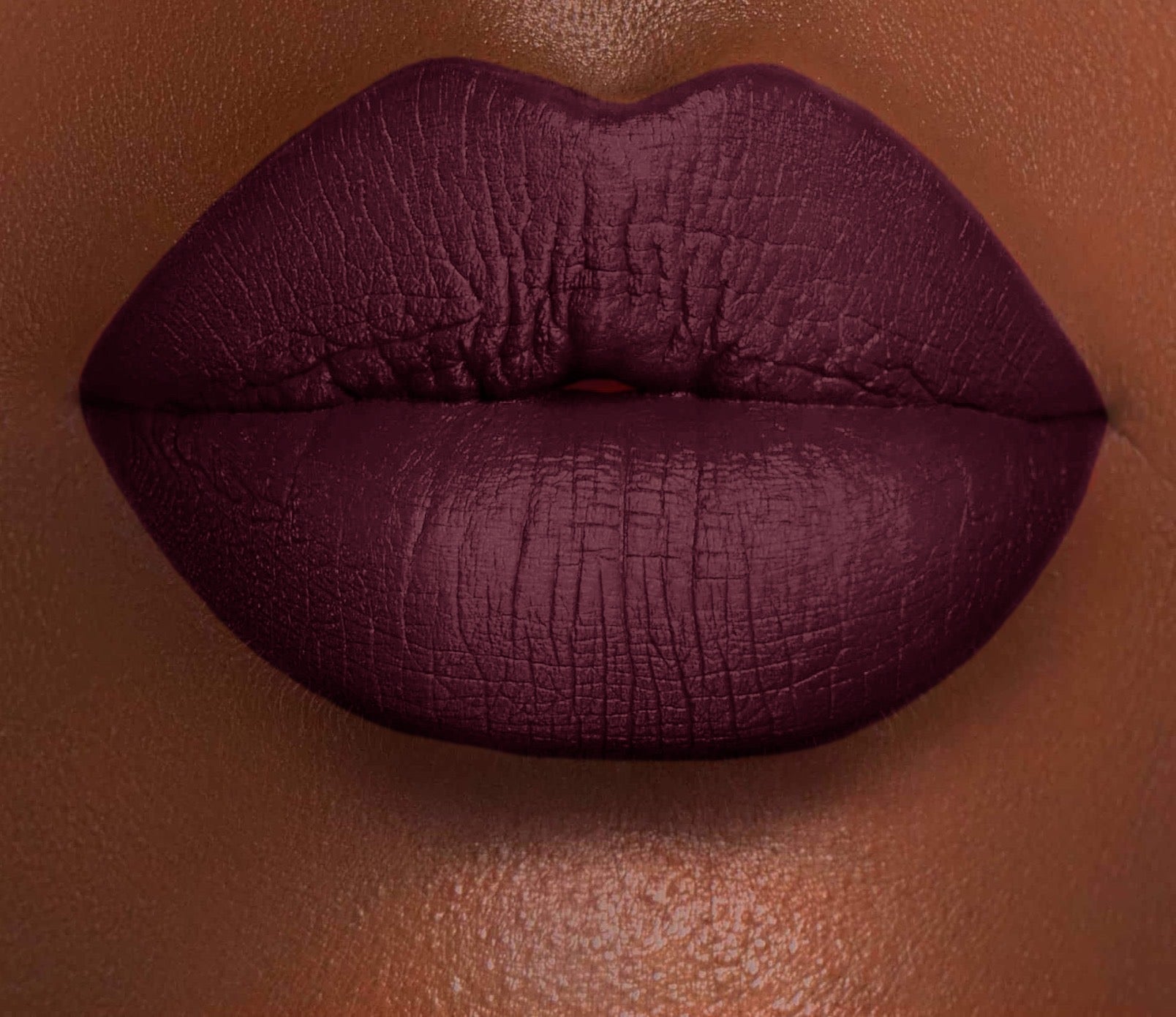 RABBIT FOOT : HOLLY WAND | VELVET LIQUID LIPCHROMA