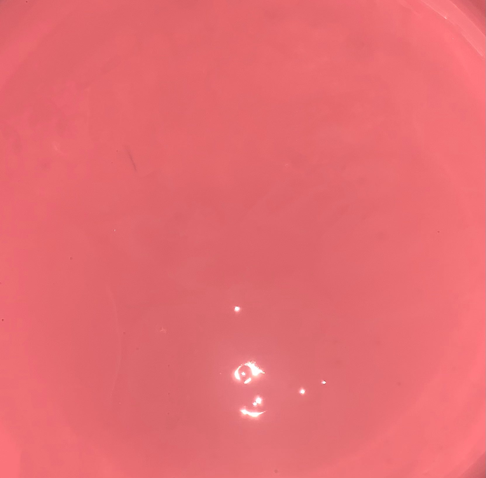 Sneaky Link Tinted Gloss Balm : Limited edition Magick Mondays X The Frow